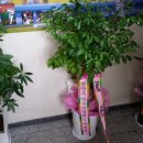 안양실내야구연습장 (명학역2번출구 도보4분거리 195-42 *3월달 대관료 2월 28일까지~그동안 이용하신팀 6만원 팀대관 120평 이미지