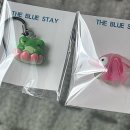 삼양해수욕장 이미지