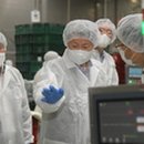 영어조합법인 일출봉 이미지