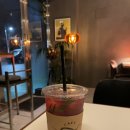 타이라(Tayra) 이미지