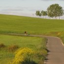 아르고스 이미지