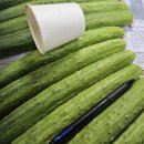 [ 오이소박이 김치 담는 세트 ] 백다다기오이(특품) + 싱싱 부추 이미지