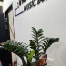 다이나믹복싱 중부점 이미지