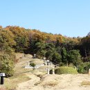 매계조위 묘소 이미지