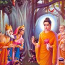 윤회(輪廻)-Ⅱ | Ⅱ. 서장(序章) - [4 장] 6. 불교의 우주구조설