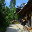 달빛품은바다 이미지