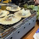 데일리 207 이미지