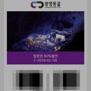 창조소프트 | [광명] '소울투 베이커리' 내돈내산 오픈런 후기 (광명동굴 혜택 꿀팁)