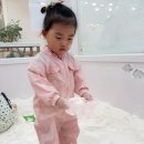 플레이가루