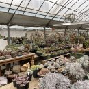 풀잎농장 이미지