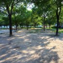 뚝섬한강공원-22 이미지