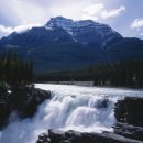 전국지짐자랑 이미지