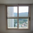 경기도 수원시 팔달구 경수대로443번길 이미지