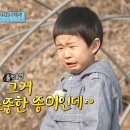 청안농장 네이버블로그