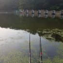 천평낚시터 이미지