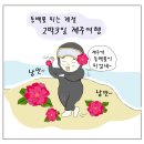 최자매식당 | 제주 | 동백꽃 피는 계절, 2박3일 제주여행