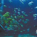 이보목장 이미지