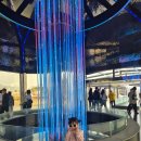 새로이밥상 | 순천만 국가정원 푸드코트 카페 비비큐빌리지 메뉴 가격 그닥후기