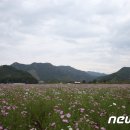 구룡천1 뉴스1