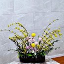 개나리꽃집 이미지