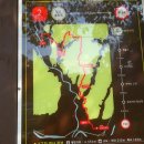 팔공산 둘레길 2구간 이미지