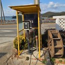 이수세탁 | 고흥 거금도 '스테이수 펜션' 애견동반 숙박 후기