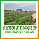 삼성천변 친수공간