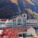 (주)하이원추추파크 이미지