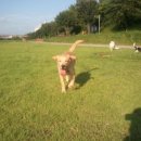 힐링 요가 B 이미지