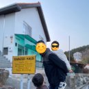 마인저 하우스 이미지