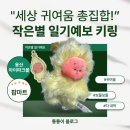 예보랑 | 용산 팝마트 작은별 일기예보 구매기｜내돈내산 리얼 후기
