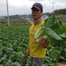 주영농산 이미지