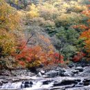 오달농원 이미지