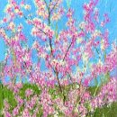 Spring Shower