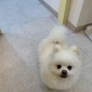 수원-0703 이미지