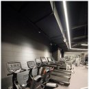 프로짐피트니스 | 압구정 헬스장 백프로짐 압구정점 방문후기. 운동이 기다려지는 나만의 공간.