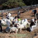 한양목장 이미지