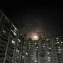 고아모텔 이미지