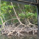 팔레스 레스토랑 이미지