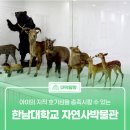 한남대학교 자연사박물관 이미지