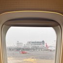 비밀의숲 | 제주 공항 근처 가볼만한 곳, 숲 산책이 좋았던 비밀의숲 방문 후기