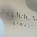 에스테틱 수수