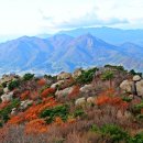 금산-61 이미지