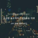 (주)반려동물 장례지원단 | 🌙 일산 강아지 장례, 심야에도 가능한 곳 찾고 계신가요?