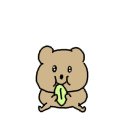 모모야롯데백화점 이미지