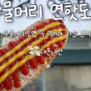 강릉사천물회양평점