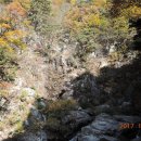 중앙동122 이미지