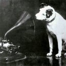 세기고물상 이미지