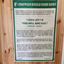 SS마트 | 울산쑥뜸 따뜻하고 힐링되는 시간 옥동 쑥뜸본가 가져요