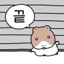왁싱공작소 네이버블로그